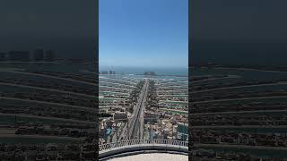 Is This the Most Beautiful Place in Dubai? 😍 #palmjumeirah #visitdubai #shorts