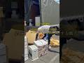 引越し作業中にGATEN職の特徴を説明する職人