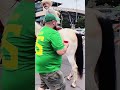 Touching pet prank#funny#fyp#usa#Funny Videos#Virus