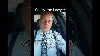 What are some examples of specialized courts in Hillsborough County Florida?