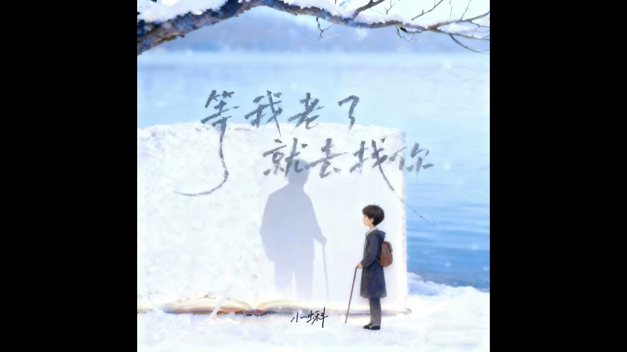 等我老了就去找你 (男童版伴奏)