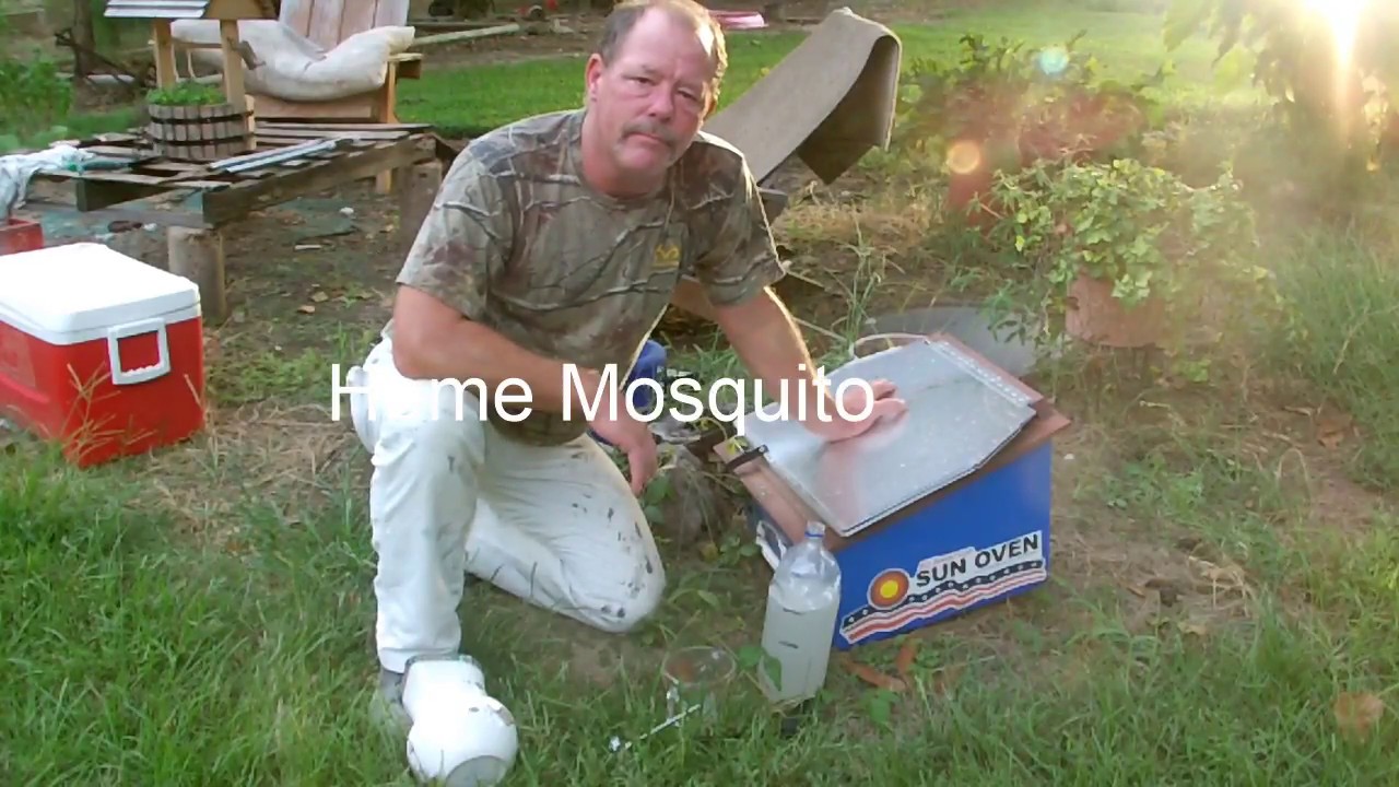 How To Get Rid of Mosquitoes Without Electricity or Insecticide | Kills Thousands!