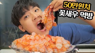 🐹EP.6-2 50만원치 꽃새우 먹방 걸고 물싸다구 눈치게임 ㅋㅋㅋㅋ [맛도리 가디언즈 시즌3]