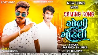  , Vk Bhuriya , Parsingh Bhuriya New Song Dhamaka Dj Timli , Gafuli 2022 Gobhi Vlog