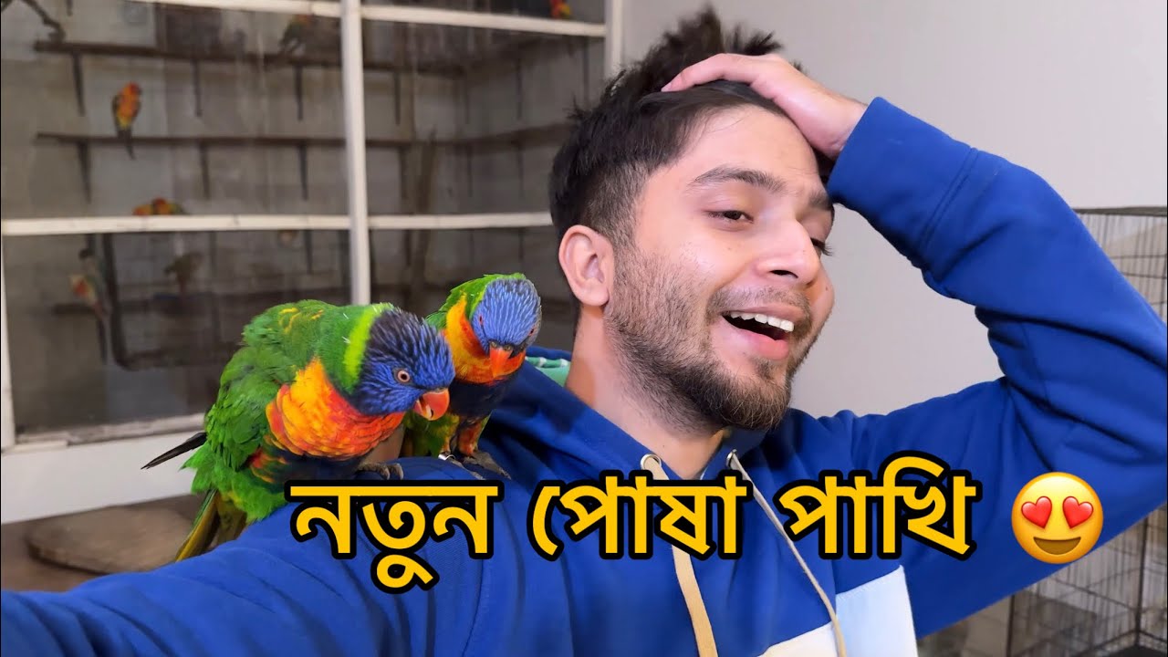 ঘরে এনেছি নতুন অনেক পোষা পাখি 😍 #birdsvalley #birds