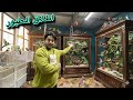اطلاق جميع الطيور😶‍🌫️عاصفه تدمر المحميه!!🌧️