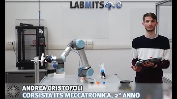 Robot collaborativo o cobot Universal UR5