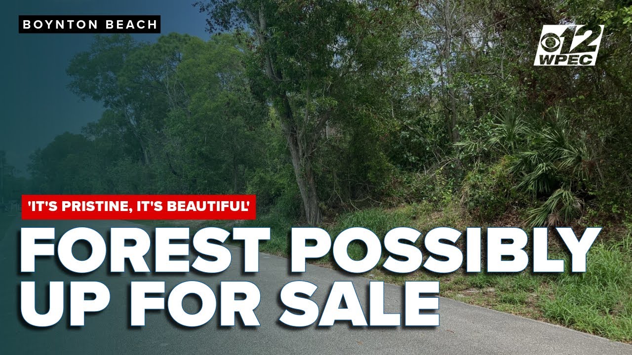 Residents upset South Florida town may sell forest to developers