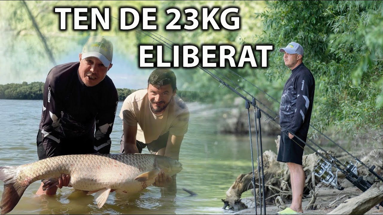 IN CAUTAREA AMURILOR CAPITALI PE DUNARE