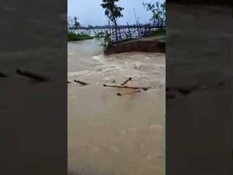 Highlight 0 00 3 29 From Abu Chayed Is Live Flood Affected Area