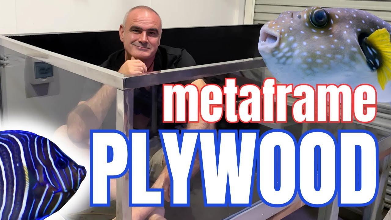 СОВРЕМЕННОЕ РЕТРО фанерных аквариумов!