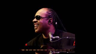Stevie Wonder - Superstition. Backing Track E.