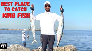 King Fish Frenzy in Al Zorah Ajman | Best Fishing Spot to Catch King Fish from UAE Shore