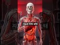 매일 6시간만 자면 '암세포'가 70% 폭증하는 이유 💀 (충격 주의)