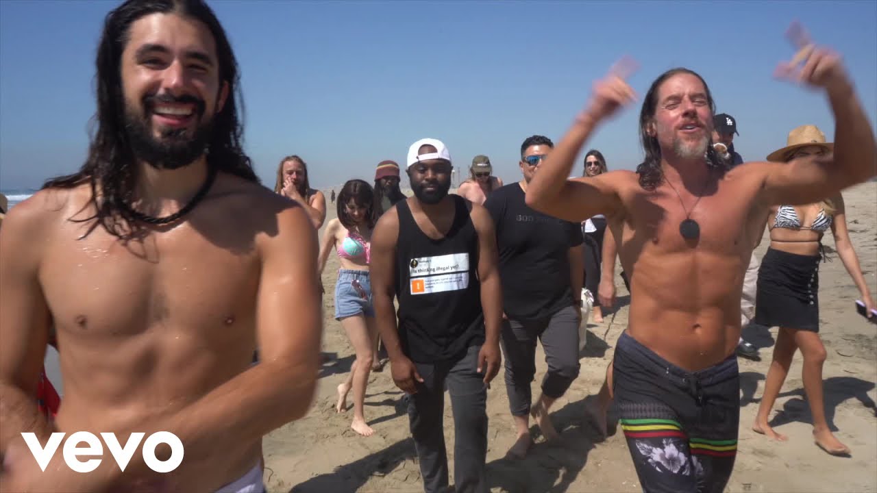 Venice Beach Dub Club & An0maly - Fundemic (Official Music Video)