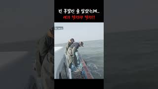 이 맛에 통발한다는 녀석의 정체? #shorts