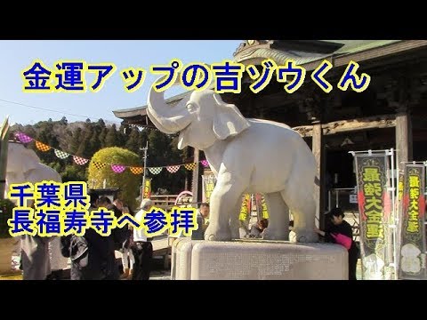パワースポット 宝くじが一番当たるらしい千葉県の長福寿寺に参拝しました Youtube