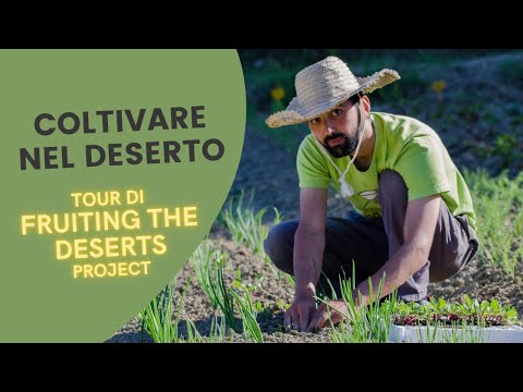 Coltivare nel Deserto - Presentazione Fruiting the Deserts Project