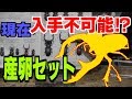 ミヤマの王様‼産卵セット作ります