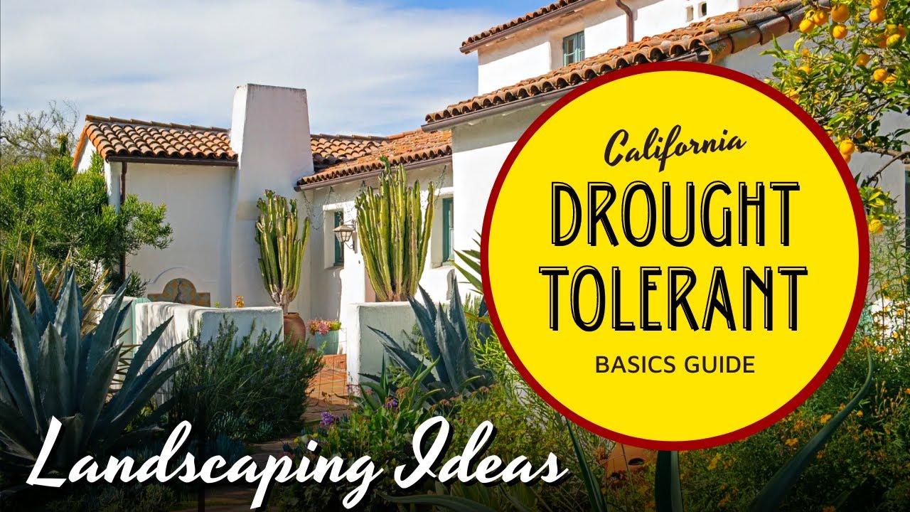 A Beginner's Guide to DroughtTolerant Landscaping in California 🌤☀️
