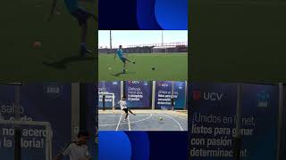 IMG 4510