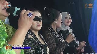 Download Lagu PAMBUKO CS. SEKAR ANOM  Suwanting, 24 Mei 2022 MP3