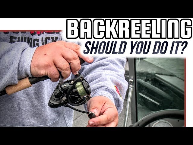 best of reel big fish album Sit amet Model:SLX XT 151 Tourney Special Baitcast Reel