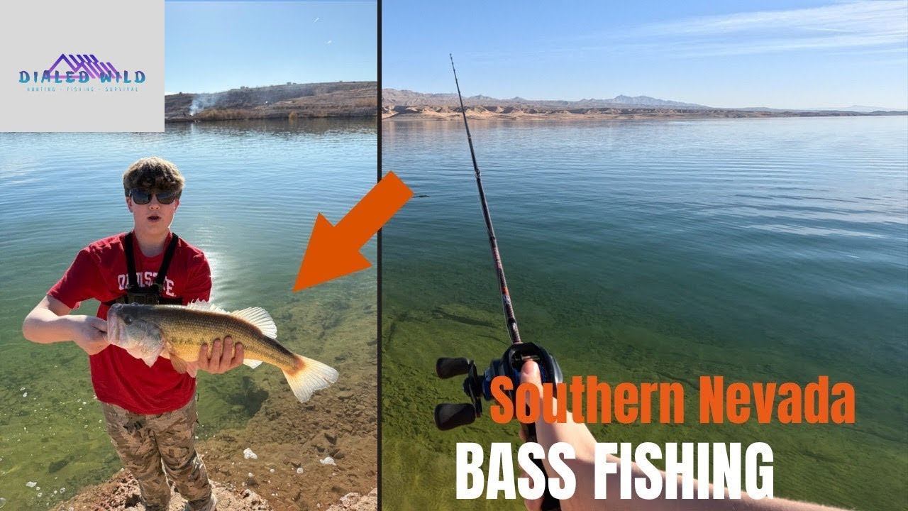 Southern Nevada Bass Fishing