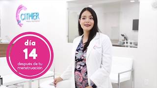 Consejos Para Quedar Embarazada I Citmer