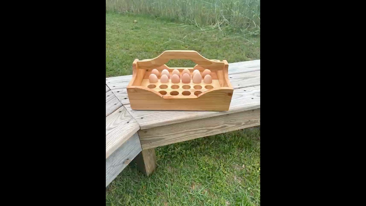 Egg carrier / basket 