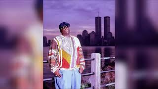 The Notorious B.I.G. x SoulChef ~ Dead Wrong x Write This Down {perfectly slowed} Resimi