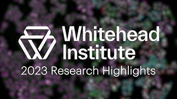 Fall/Winter 2023 | Whitehead Institute Research Highlights