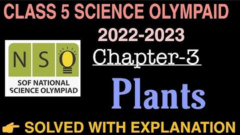 Class 5 NSO SOLVED ANSWERS WITH EXPLANATION| SOF | Sample paper (2022-2023)|@VedhAcademy