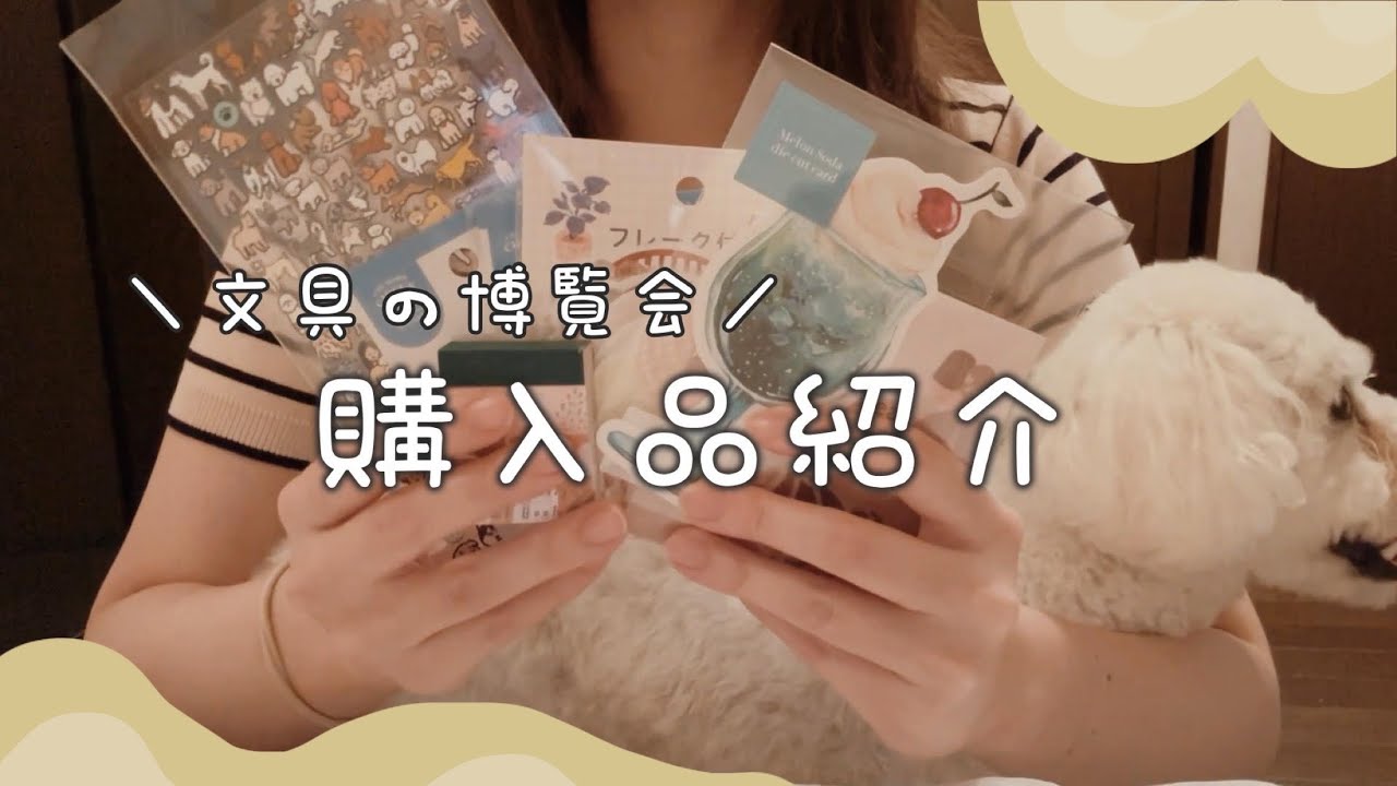 【文具の博覧会】たくさん可愛いものをゲットしたので購入品紹介🖋🌱