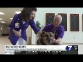 850 GOOD NEWS Therapy Dogs Bring More Than Just Comfort To Hospital Staff And Patients