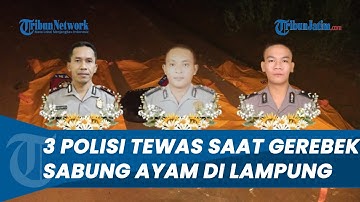 SADIS! 3 Polisi Tewas Ditembak Saat Gerebek Judi Sabung Ayam di Lampung, KAPOLSEK Meninggal Dunia