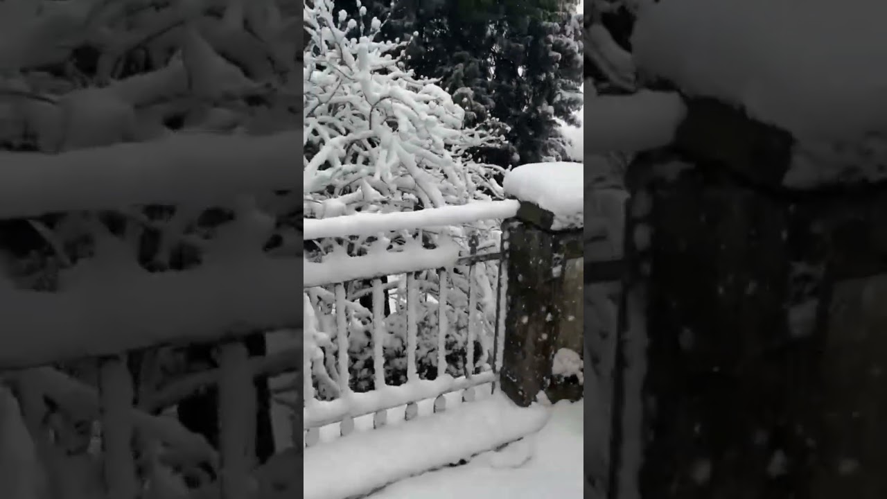 This is what looks like to live in Italy 🇮🇹 in January !Are you ready to try 