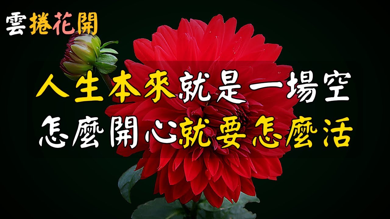 人生本來沒啥意義，怎麼輕鬆就要怎麼活！#雲捲花開