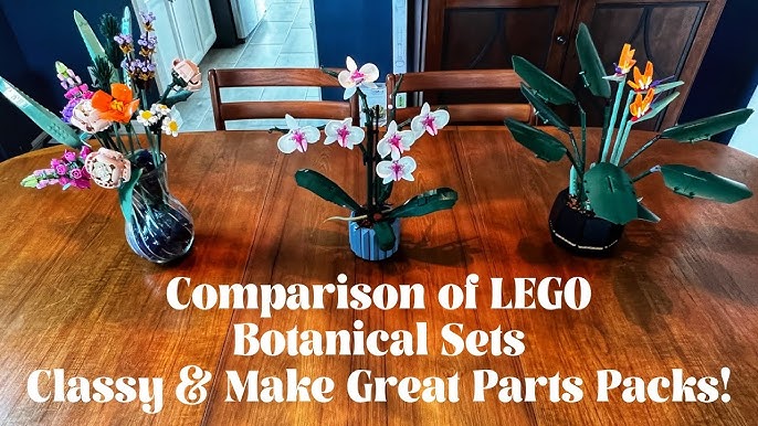 LEGO Creator Expert Botanical Collection Orchid, Succulents Teaser