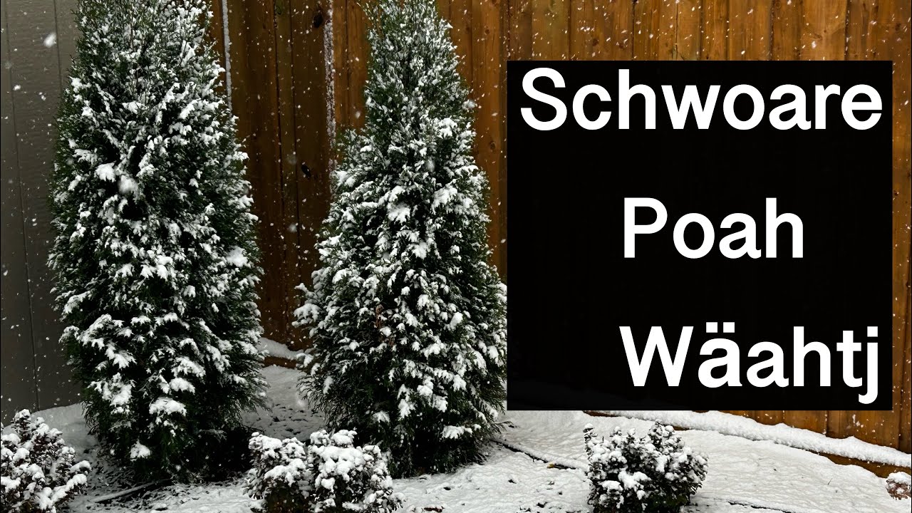 Schwoare poah wäahtj