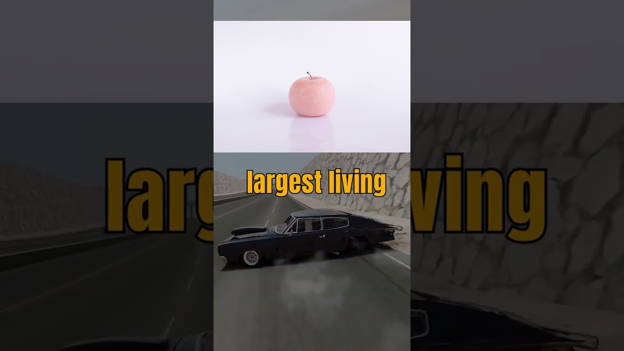 "10 weird but true facts that will blow your mind"