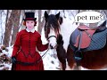 The SWEETEST Irish Cob horse convinced me to sew a Victorian riding habit
