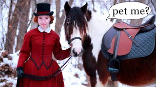 The SWEETEST Irish Cob horse convinced me to sew a Victorian riding habit