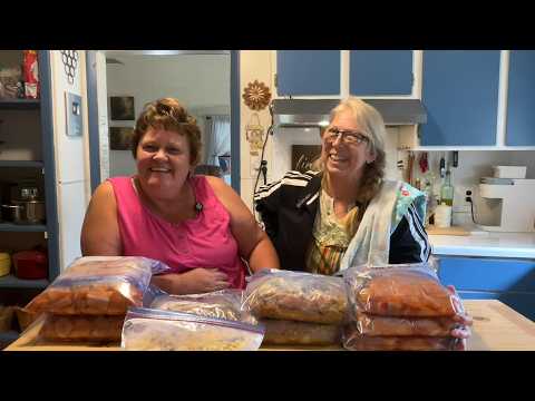 Easy & Delicious Pork & Chicken Freezer Meals   Budget Friendly Cooking