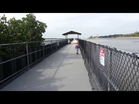 Toren at Manatee Viewing Center