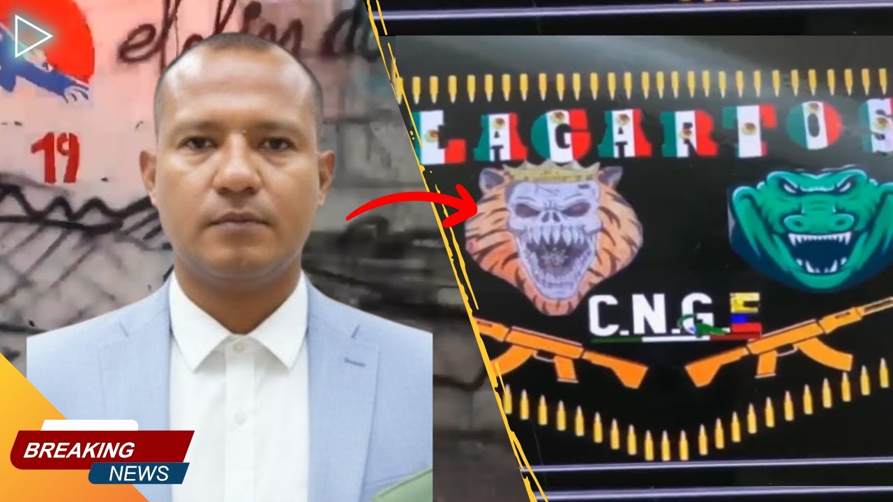 La Historia de LOS LAGARTOS, la banda criminal que se niega a desaparecer