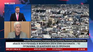 Οδυσσέας Σπηλιόπουλος - Κοσμήτορας ΠΑΠΕΛ στην τηλεόραση BEST 28-07-2026