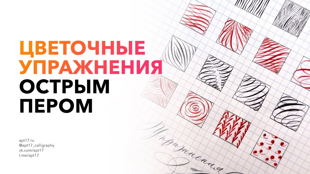 Каллиграфические упражнения в квадратиках
