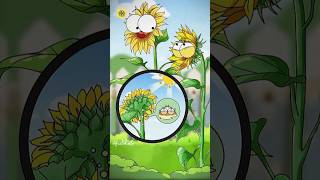🌻 Why Does Sunflower Follow the Sun? 😱 #Sunflower #ScienceFacts  #shorts #factohector