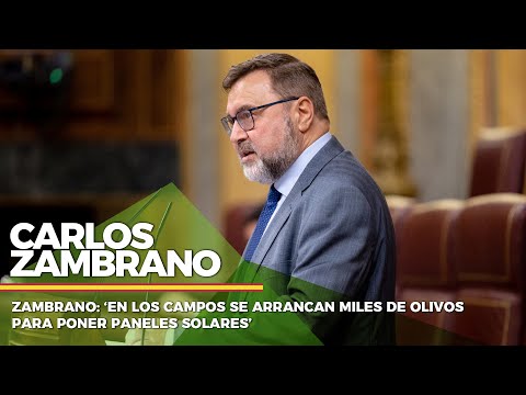 Zambrano: ‘En los campos se arrancan miles de olivos para poner paneles solares’